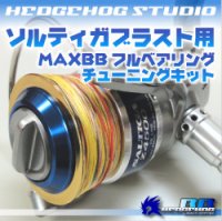 ソルティガブラスト 4500用 MAX10BB フルベアリングチューニングキット