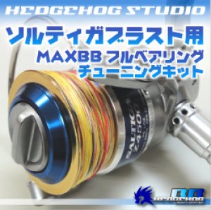 画像1: ソルティガブラスト 4500用 MAX10BB フルベアリングチューニングキット