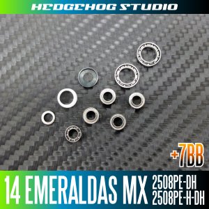 画像2: 14エメラルダスMX 2508PE-DH,2508PE-H-DH用 MAX13BB フルベアリングチューニングキット