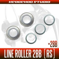 ダイワ用 ラインローラー2BB仕様チューニングキット [RS] （14キャスティズム 25QD用）