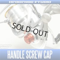 【WEB限定・アウトレット特価品】 11カルディア・13イージス対応 ハンドルスクリューキャップ HSC-CA-S