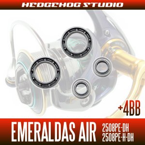 画像2: 15エメラルダスAIR 2508PE-DH,2508PE-H-DH MAX14BB フルベアリングチューニングキット