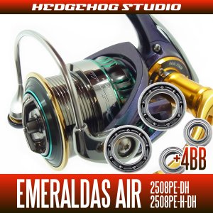 画像1: 15エメラルダスAIR 2508PE-DH,2508PE-H-DH MAX14BB フルベアリングチューニングキット