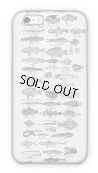 [アングラーズケース] 魚図鑑　1890年版 (商品コード：2015040102)