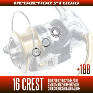 画像2: 16クレスト  1000,2000,2004,2004H,2500,2506,2506H,2506H-DH,2508H,3000,3000H,3500,4000,4000H用 MAX5BB フルベアリングチューニングキット