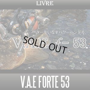 画像1: 【リブレ/LIVRE】 V.A.E Forte 53 ハンドル