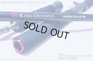 画像4: 【KingOctopus/キングオクトパス】 Laulau 8.5 GT-B （ラウラウ） BaitCasting Model