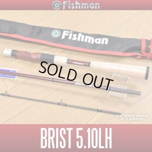 画像1: 【Fishman/フィッシュマン】BRIST 5.10LH（在庫限りで終了）
