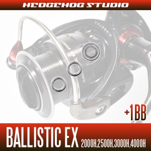 画像2: BALLISTIC EX/バリスティックEX 2000H,2500H,3000H,4000H用 MAX9BB フルベアリングチューニングキット