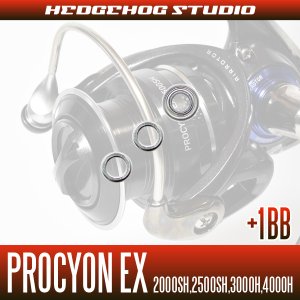 画像2: PROCYON EX/プロシオンEX 2000SH,2500SH,3000H,4000H用 MAX9BB フルベアリングチューニングキット