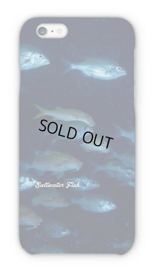 画像1: [アングラーズケース] 熱帯魚 No.12 魚の群泳 (商品コード：2015042803)