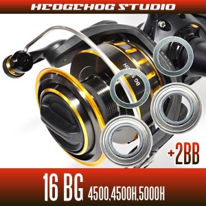 画像1: 16BG 4500, 4500H, 5000H用 MAX8BB フルベアリングチューニングキット