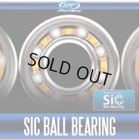 【ZPI】 防錆 Sic セラミックボールベアリング