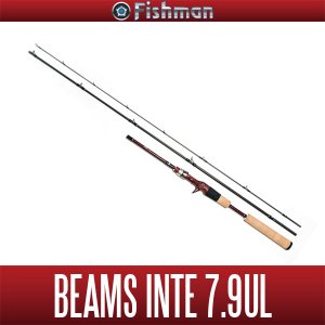 画像1: 【Fishman/フィッシュマン】Beams inte 7.9UL