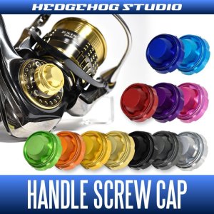 画像1: 【HEDGEHOG STUDIO/ヘッジホッグスタジオ】シマノ 21アルテグラ対応 ハンドルスクリューキャップ 【HSC-SD-A】