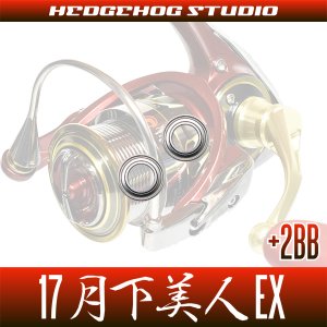 画像2: 17月下美人EX 1003,1003RH,2004C用 MAX12BB フルベアリングチューニングキット