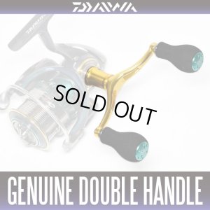 画像1: ★特価品30％OFF【ダイワ純正】ダブルハンドル 【15エメラルダスAIRモデル】
