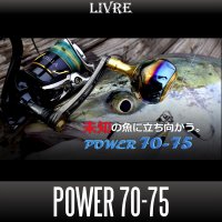 【リブレ/LIVRE】POWER 70-75 ジギング＆キャスティング パワーハンドル