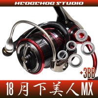 18月下美人MX LT1000S-P, LT2000S-P, LT2000S用 MAX8BB フルベアリングチューニングキット