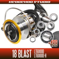 18ブラスト LT6000D, LT6000D-H用 MAX10BB フルベアリングチューニングキット