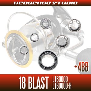 画像2: 18ブラスト LT6000D, LT6000D-H用 MAX10BB フルベアリングチューニングキット