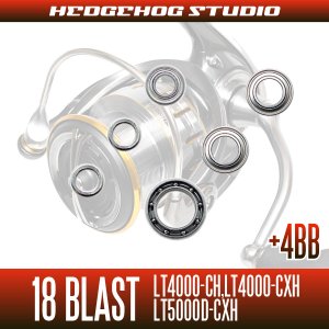 画像2: 18ブラスト LT4000-CH, LT4000-CXH, LT5000D-CXH用 MAX10BB フルベアリングチューニングキット