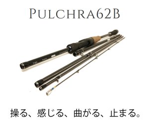 画像1: 【TRANSCENDENCE/トランスセンデンス】 Pulchra62B+ / プルクラ62B+