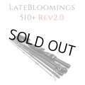 【TRANSCENDENCE/トランスセンデンス】 LateBloomings510+ Rev2.0  / レイトブルーミングス