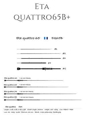 画像1: 【TRANSCENDENCE/トランスセンデンス】 Eta quattro 65B+  / イータクワトロ