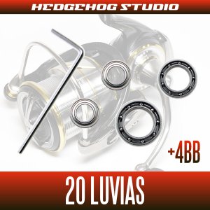 画像2: 【ダイワ】20ルビアス LT2500S-DH【ダブルハンドルモデル】用 MAX14BB フルベアリングチューニングキット