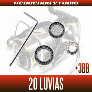 画像2: 【ダイワ】20ルビアス FC LT2000S, FC LT2000S-XH, FC LT2500S, FC LT2500S-XH, LT2500, LT2500-XH, LT3000-C, LT3000S-CXH, LT3000, LT3000-XH, LT4000-C, LT4000-CXH【シングルハンドルモデル】用 MAX12BB フルベアリングチューニングキット