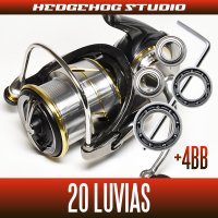 20ルビアス LT2500S-DH【ダブルハンドルモデル】用 MAX12BB フルベアリングチューニングキット (バス釣り・トラウト・シーバス・エギングなど)