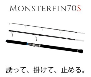 画像1: 【TRANSCENDENCE/トランスセンデンス】 Monsterfin70S / モンスターフィン