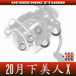 画像2: 【ダイワ】20月下美人X LT1000S-P, LT2000S-P, LT2000S用 MAX8BB フルベアリングチューニングキット(ソルト,アジング)