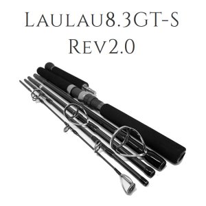 画像1: 【TRANSCENDENCE/トランスセンデンス】Laulau8.3GT-S Rev2.0 /ラウラウスピニング