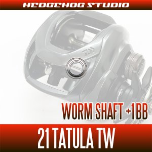 画像2: 【ダイワ】21タトゥーラ TW 300, 400用 ウォームシャフトベアリングチューニングキット（+1BB）