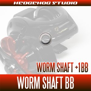 画像1: ベイトリール対応 ウォームシャフトベアリングキット（+1BB）