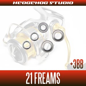 画像2: 21フリームス FC LT1000S, FC LT2000S, FC LT2000S-XH, LT2500, LT2500-XH, LT3000-C, LT3000-CXH, LT3000, LT3000-XH, LT4000-C, LT4000-CXH, LT5000-CXH, LT6000D-H用 MAX8BB フルベアリングチューニングキット