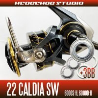 【ダイワ】22カルディアSW 6000S-H, 6000D-H用 MAX9BB フルベアリングチューニングキット
