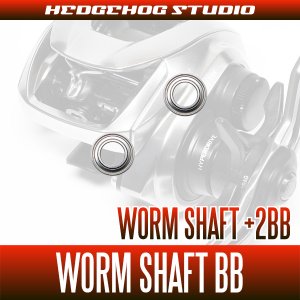 画像1: ベイトリール対応 ウォームシャフトベアリングキット（+2BB）
