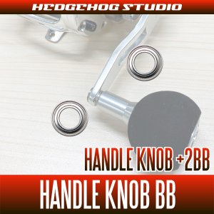 画像1: ダイワ 24シーボーグ G800M-J 対応 ハンドルノブベアリングキット（+2BB）