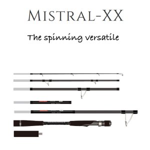 画像1: 【TRANSCENDENCE/トランスセンデンス】MISTRAL XX  / ミストラル XX