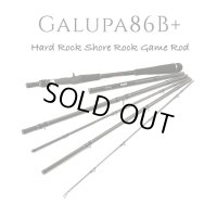 【TRANSCENDENCE/トランスセンデンス】Galupa86B+ / ガルッパ86B+