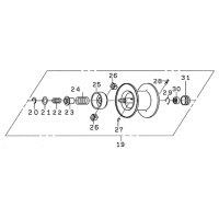 【ダイワ純正お取り寄せパーツ：納期1ヶ月】22スティーズ A II TW純正スプール（R, L, H, HL, XH, XHL）製品コード：00613382 19番 スプール（２０－３１・１１５）部品コード：6Z027136