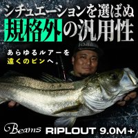 【Fishman/フィッシュマン】Beams RIPLOUT 9.0M+（ビームス リプラウト）