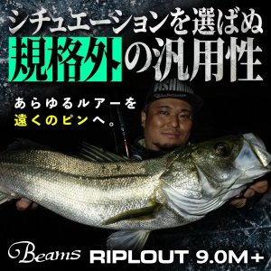 画像1: 【Fishman/フィッシュマン】Beams RIPLOUT 9.0M+（ビームス リプラウト）