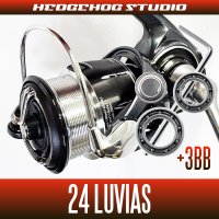 【ダイワ】24ルビアス LT2000S-P, LT2000S-H, LT2500S, LT2500S-XH, PC LT2500, PC LT2500-H, LT3000-H, PC LT3000, PC LT3000-XH, LT4000-XH, LT5000D-CXH, ST SF1000S-P, ST SF2000SS-P, ST SF2000SS-H, ST SF2500SS-H, ST LT2000S-P, ST LT2500S-XH【シングルハンドルモデル】用 MAX12BB フルベアリングチューニングキット