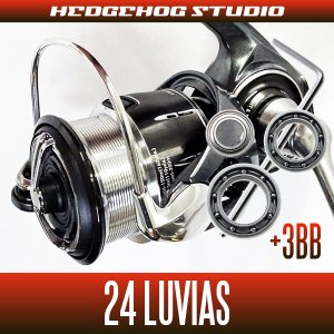 画像1: 【ダイワ】24ルビアス LT2000S-P, LT2000S-H, LT2500S, LT2500S-XH, PC LT2500, PC LT2500-H, LT3000-H, PC LT3000, PC LT3000-XH, LT4000-XH, LT5000D-CXH, ST SF1000S-P, ST SF2000SS-P, ST SF2000SS-H, ST SF2500SS-H, ST LT2000S-P, ST LT2500S-XH【シングルハンドルモデル】用 MAX12BB フルベアリングチューニングキット
