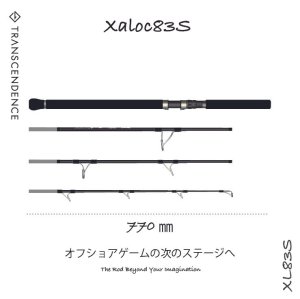 画像1: 【TRANSCENDENCE/トランスセンデンス】Xaloc83S / シャロック83S