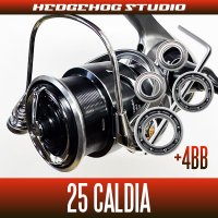 【ダイワ】25カルディア FC LT1000S, FC LT2000S, FC LT2000S-H, FC LT2500S, FC LT2500S-H, LT2500, LT2500S, LT2500S-XH, LT3000S-CXH, LT3000, LT3000-XH, LT4000-C, LT4000-CXH, LT5000-C, LT5000-CXH用 MAX10BB フルベアリングチューニングキット
